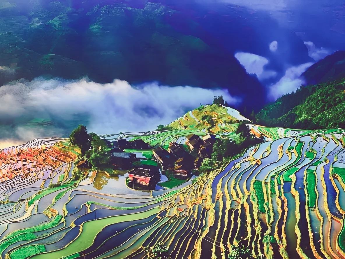 Guizhou rice terraces