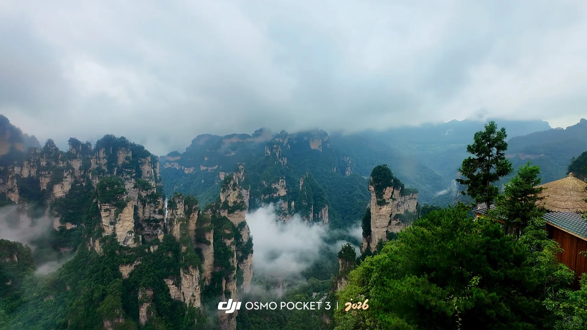 Avatar Mountains in Zhangjiajie