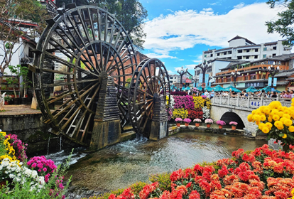 Colorful Yunnan Journey: 8 Days 7 Nights Private Customized Independent Tour to Dali, Lijiang, and Shangri-La